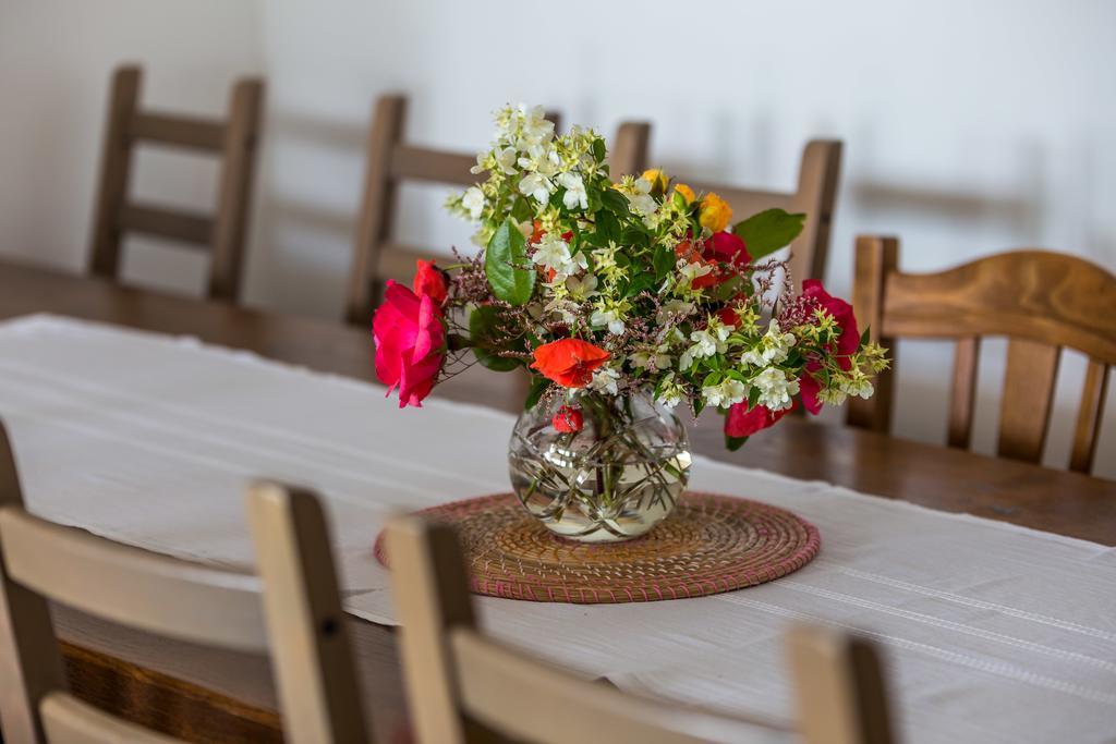 Villa Parenzana Višnjan エクステリア 写真